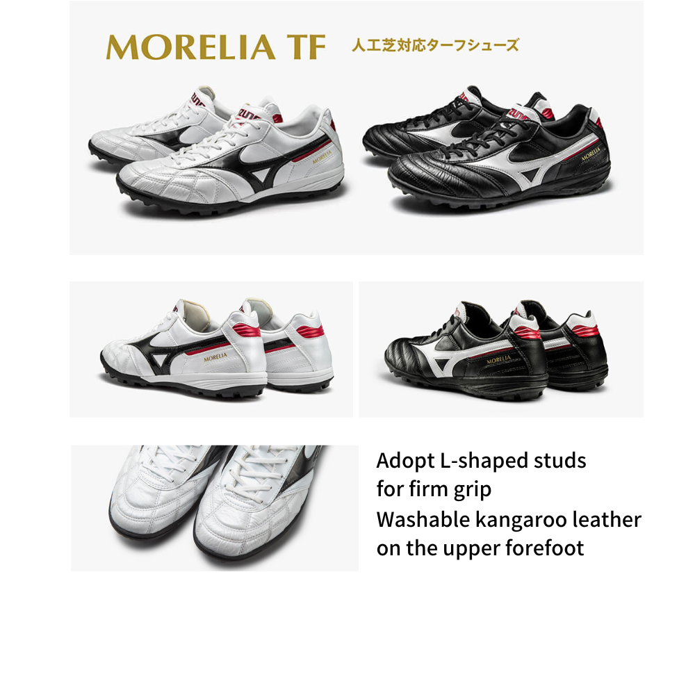 MORELIA TF (CROSS STITCH)